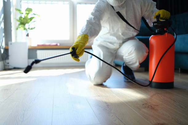 Reliable Blood Cleanup contractor in Loma Mar, CA by Trauma Clean Pros